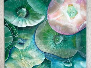 蓮の水滴、透明感、遠近感、真上からみた蓮の花描いてみませんか?