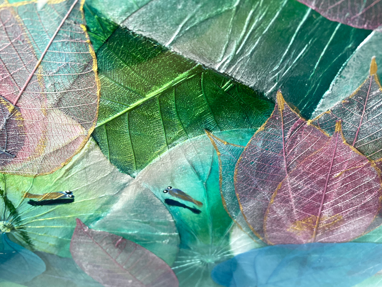 ߂ƉߊoĂ܂B41Z`~41Z`