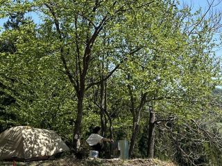 キャンプ初心者の女性が自然の中でデイキャンプ体験!テント張り、焚き火、南牧村のカフェランチを楽しみました(実際の画像)