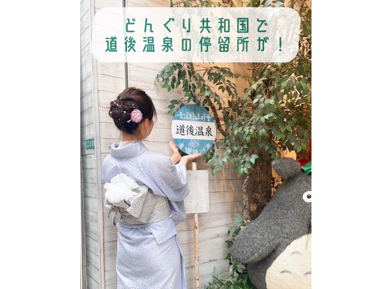 どんぐり共和国