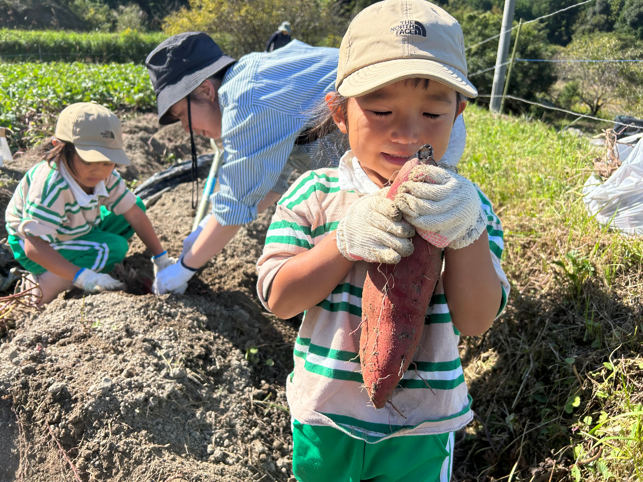 一生懸命掘って大きなサツマイイモ ゲット!!!!