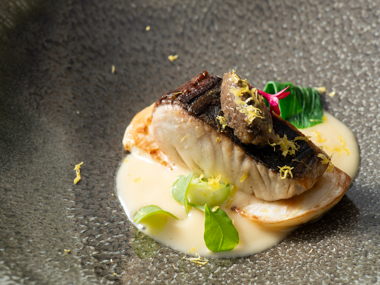 Ñ|@֎q̃^vi[h@Mq̃u[u\[X