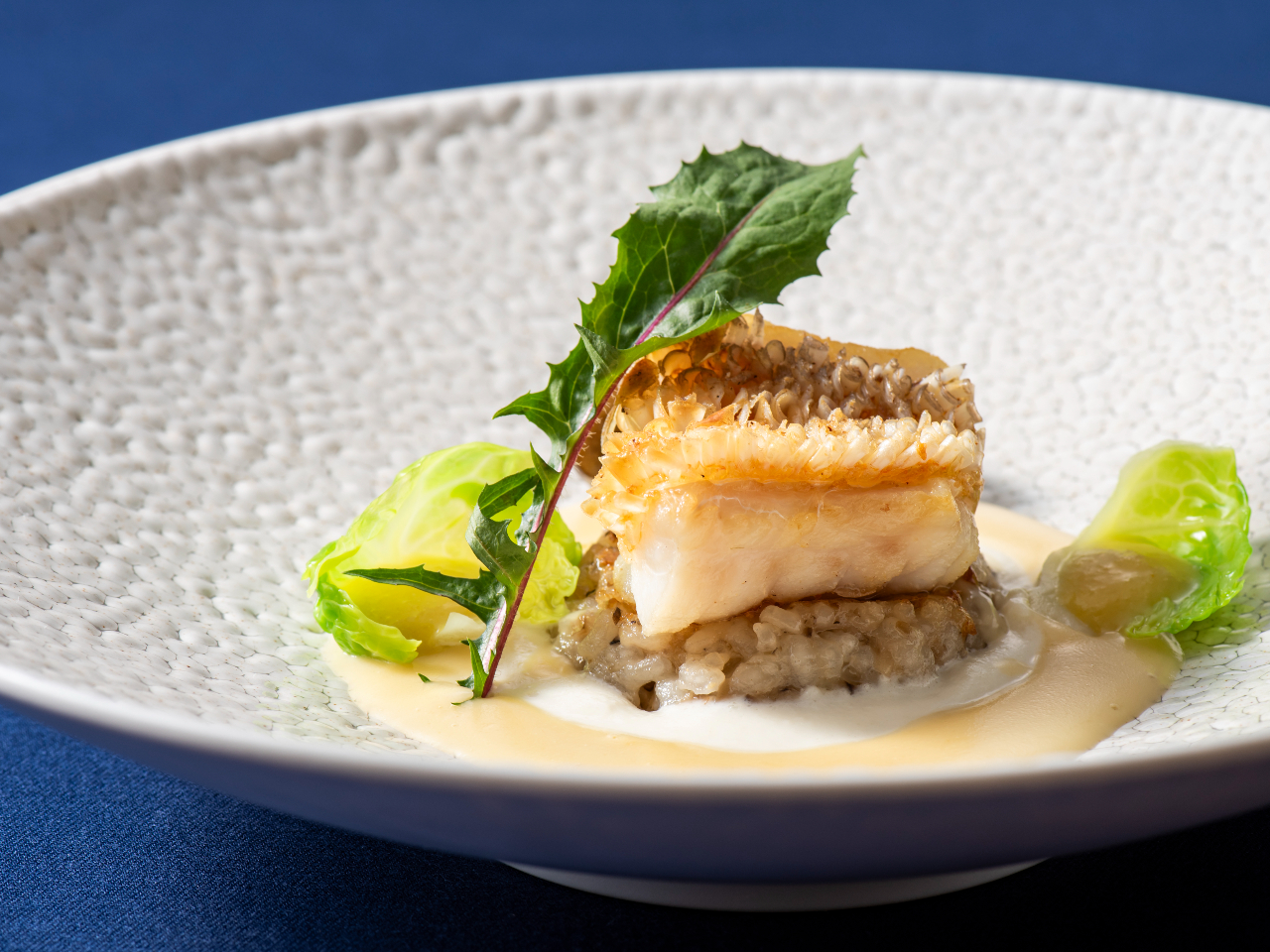 Ñ̃| ̏Ă]bg@̃RtB`[