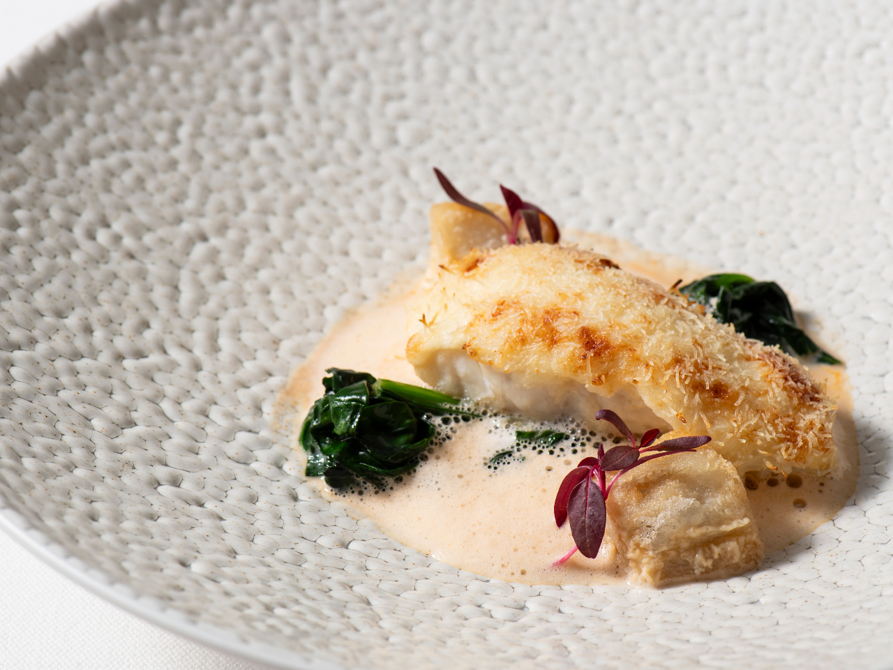 �N�J�_�C�t��Z�����N���̃|�����@�I�}�[���C�V�̃G�L���[���\�[�X