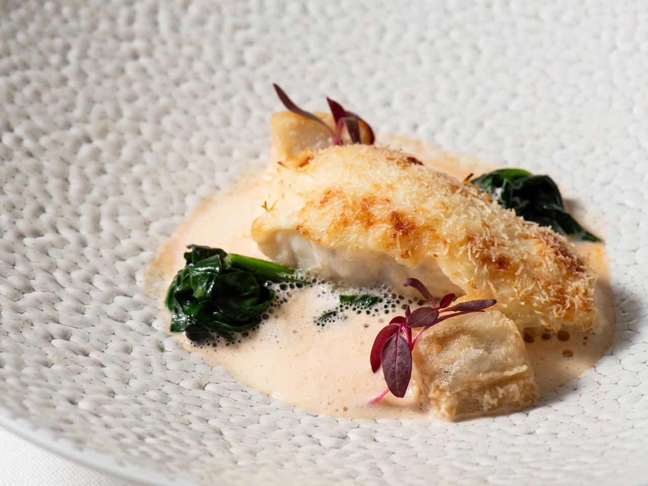 �J�_�C�t��Z�����N���̃|�����@�I�}�[���C�V�̃G�L���[���\�[�X