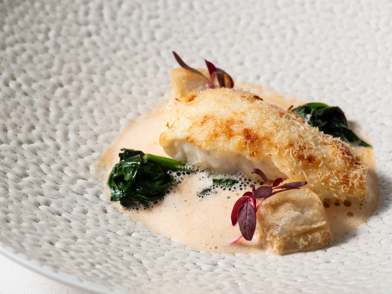 �J�_�C�t��Z�����N���̃|�����@�I�}�[���C�V�̃G�L���[���\�[�X