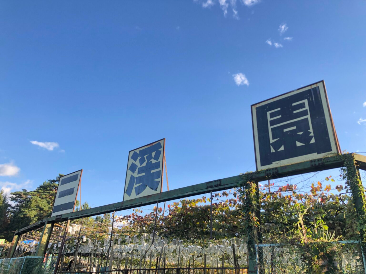 園内には多品種の葡萄がお出迎え。