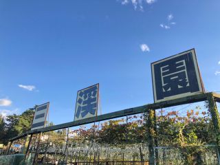 園内には多品種の葡萄がお出迎え。