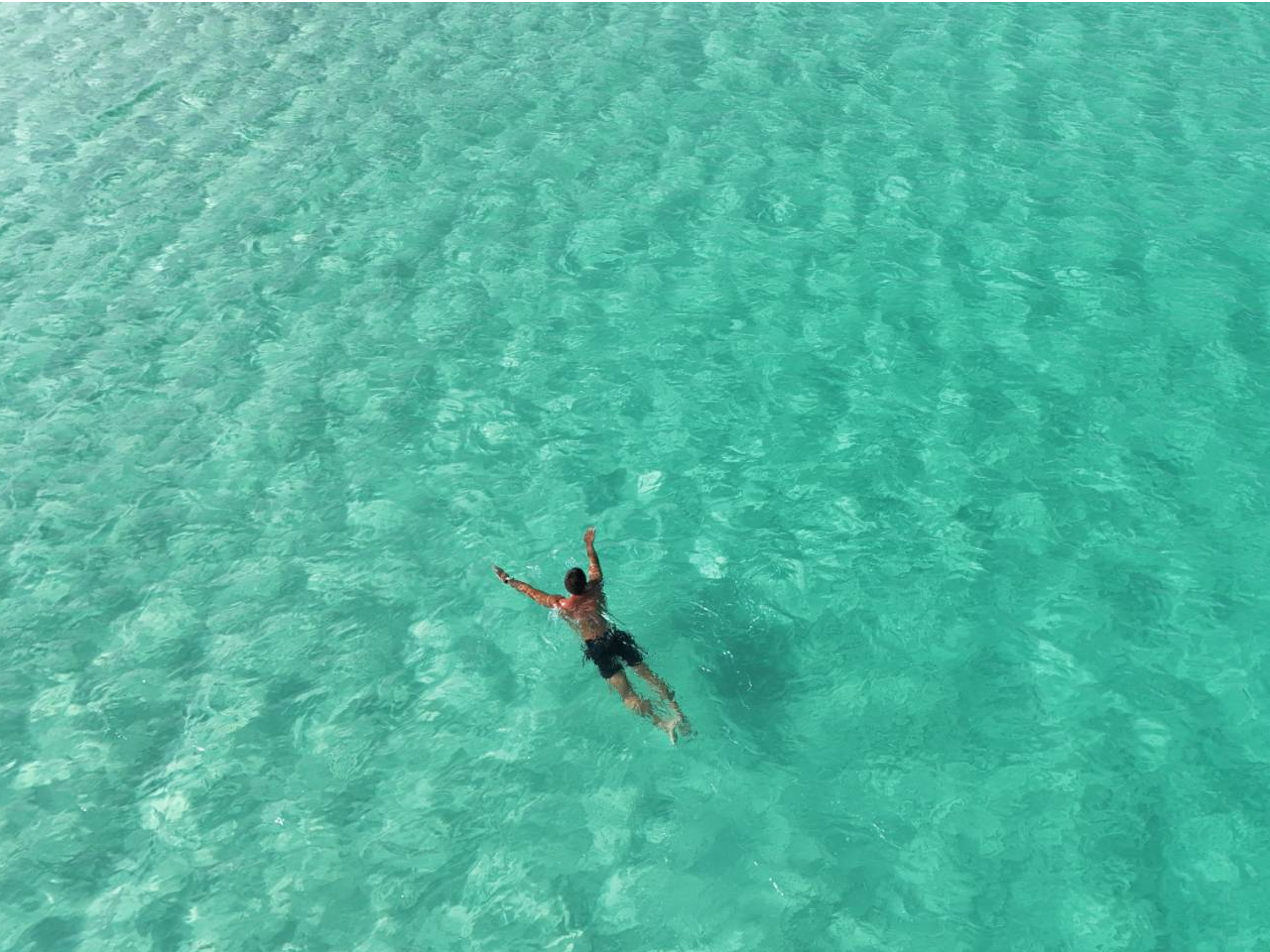 ��ʋ{�Ãu���[�I