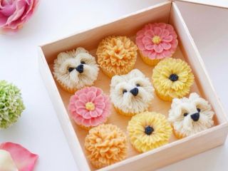 わんこのお花にゃんこのお花体験レッスン