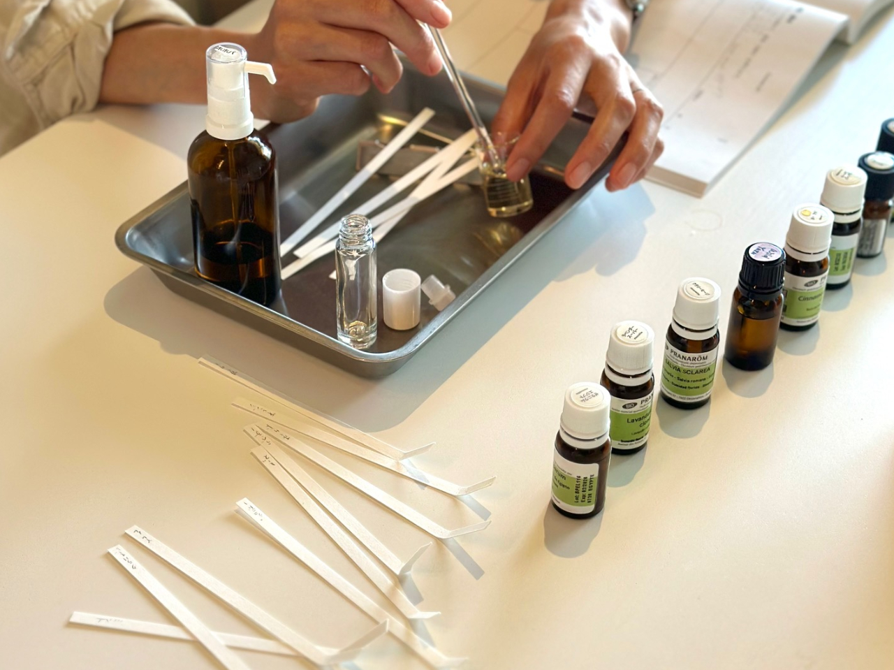 ������m�F���Ȃ���u�����h���܂�