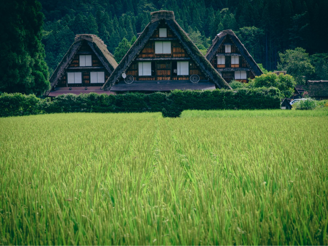 世界遺産白川郷ガイド兼ドライバー貸し切りツアー ※高山駅発着、海外の方もOK
