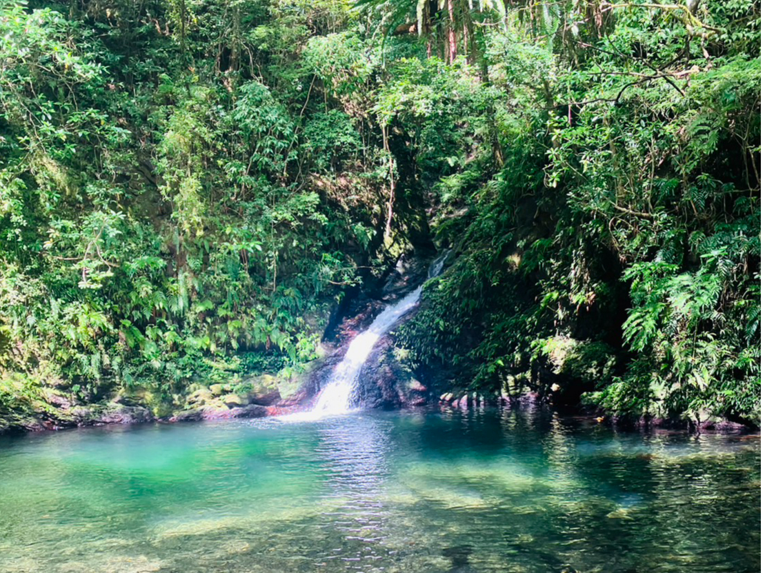 ●森林浴・マイナスイオンでリラックス!
●グループ割あり!グループ参加がお得です!
●口コミ頂いたお客様 写真データ無料プレゼント!
●ガイドブックにも載っていない秘境の滝へご案内!!