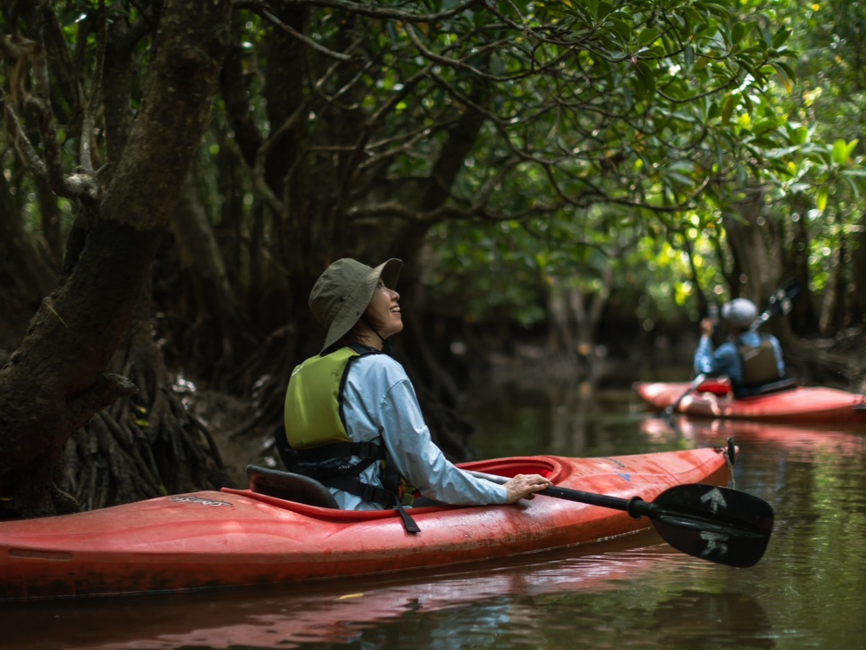 ゆったりマングローブ