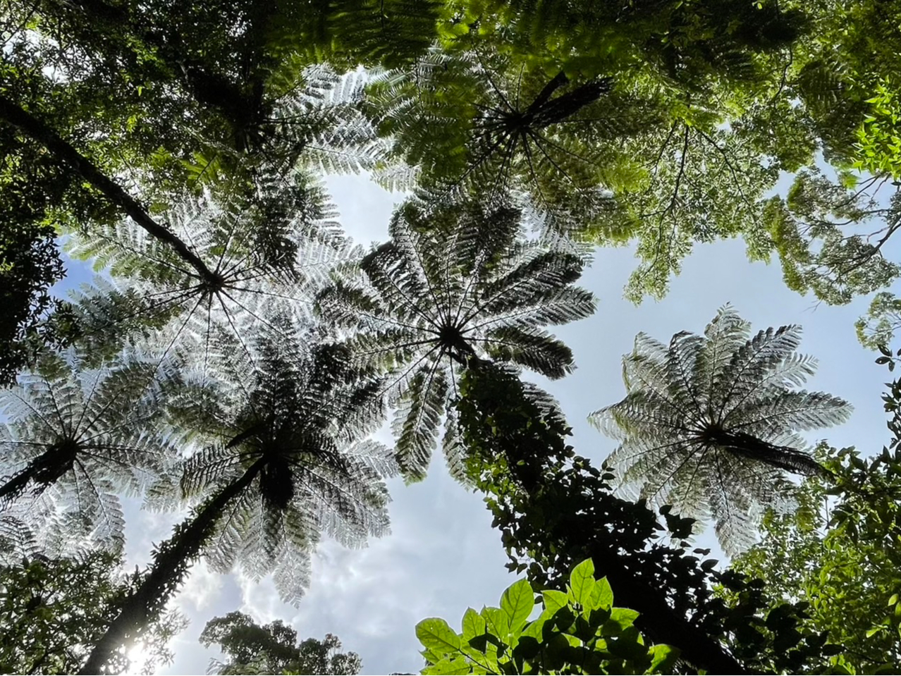 EVERGREEN�����̎ʐ^1