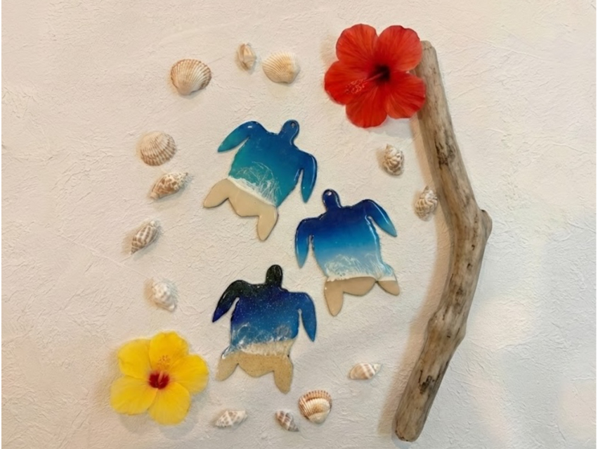 �q�ǂ��ɑ�l�C��{�Ó��̏����ȊC�̒��ԁg���T�h���W���A�[�g�̌��I