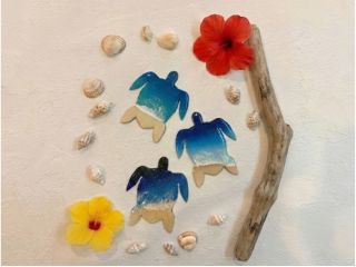 子どもに大人気♪宮古島の小さな海の仲間“小亀”レジンアート体験!