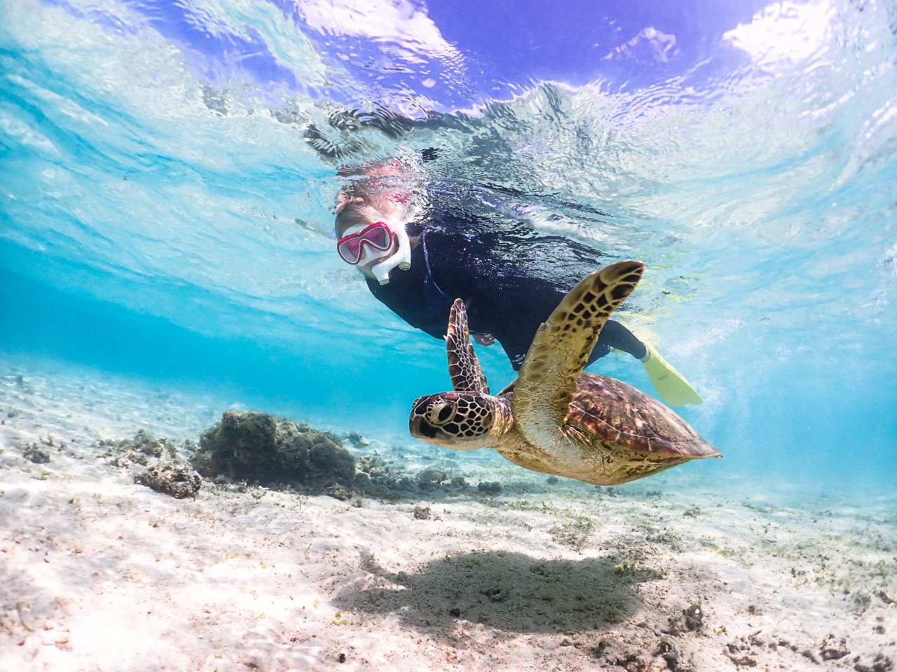 まるで映画のワンシーンのような瞬間