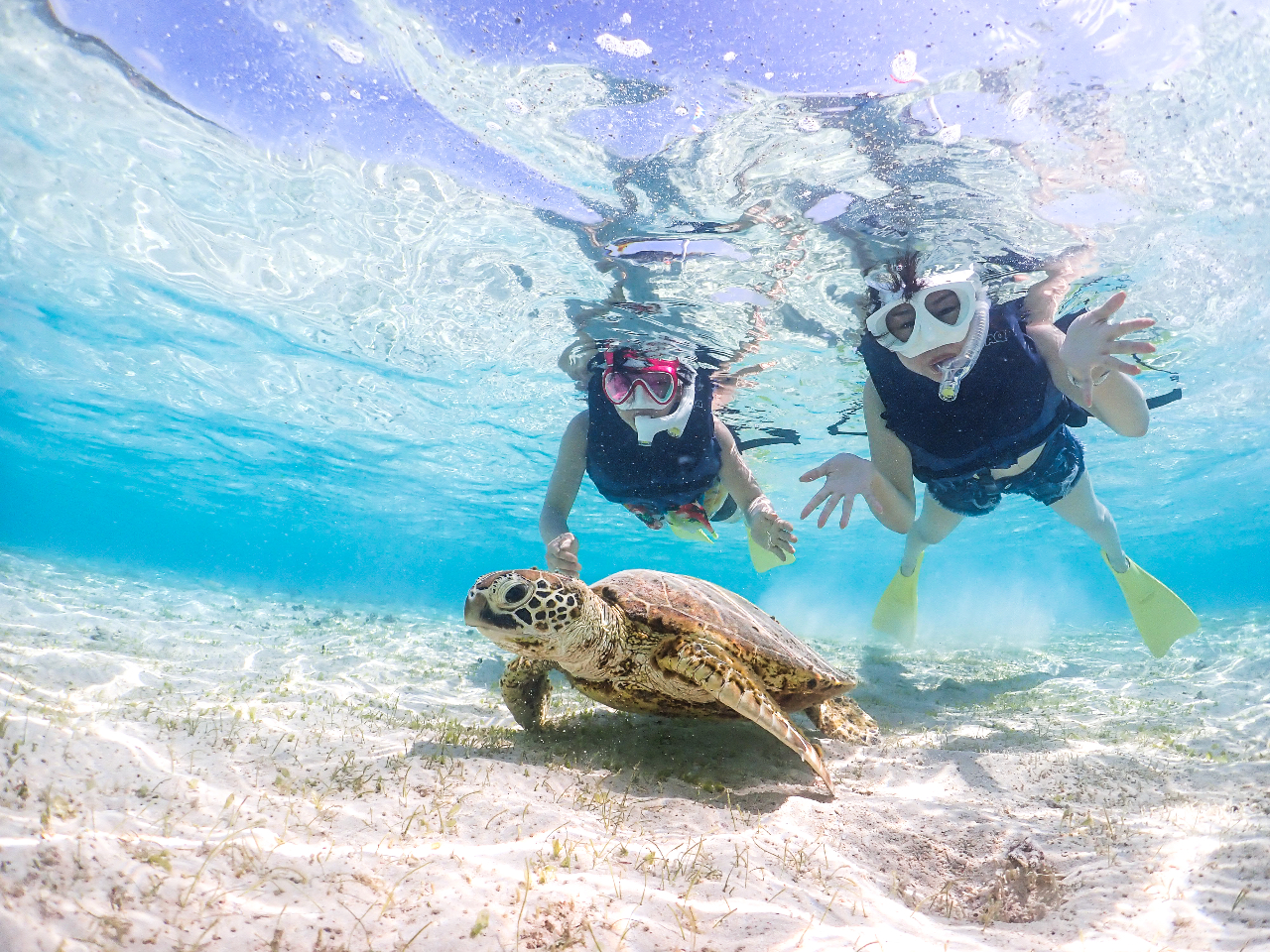 家族や仲間と楽しむ最高のひととき