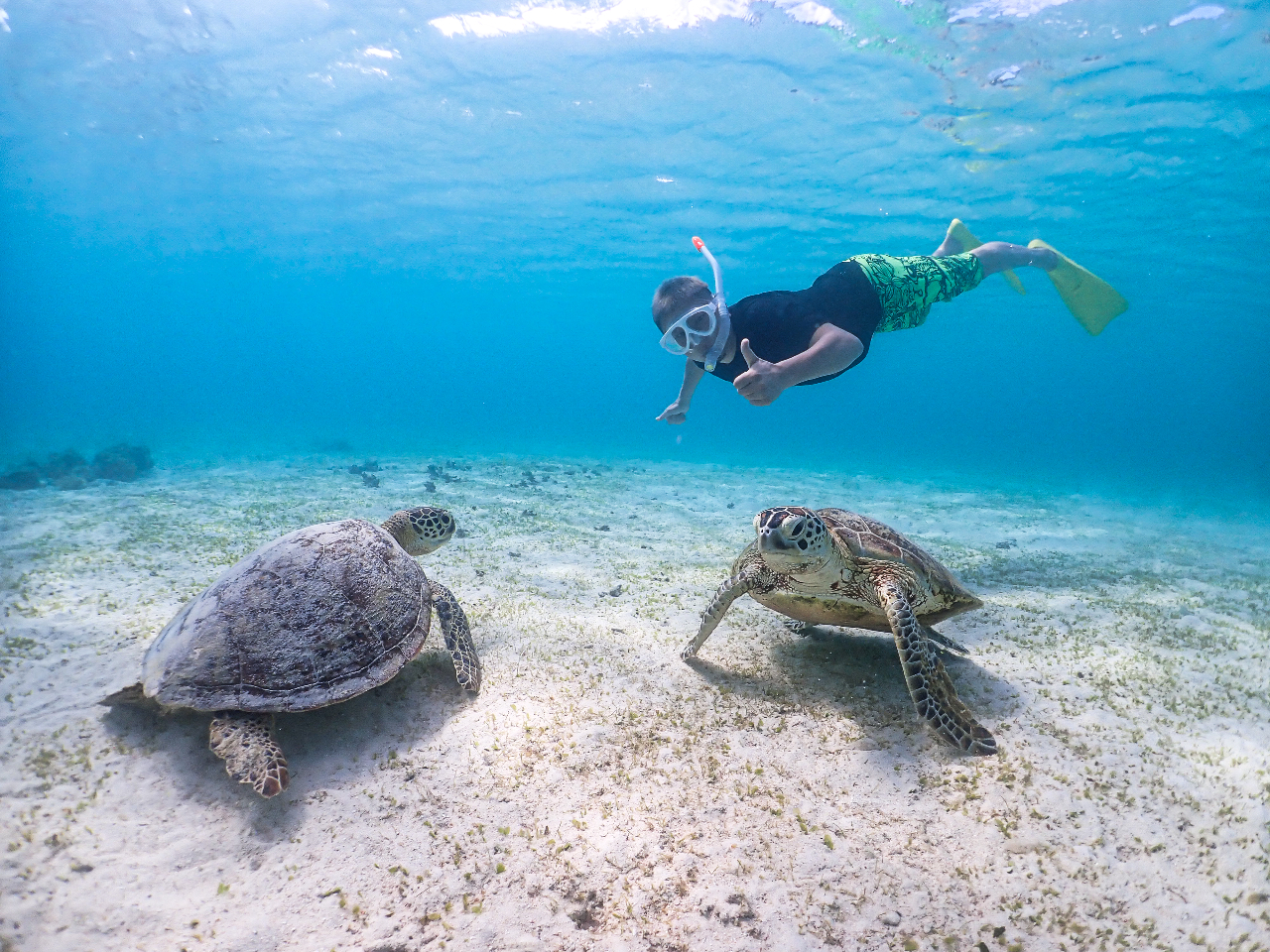 目の前に広がる、夢のような海の散歩
