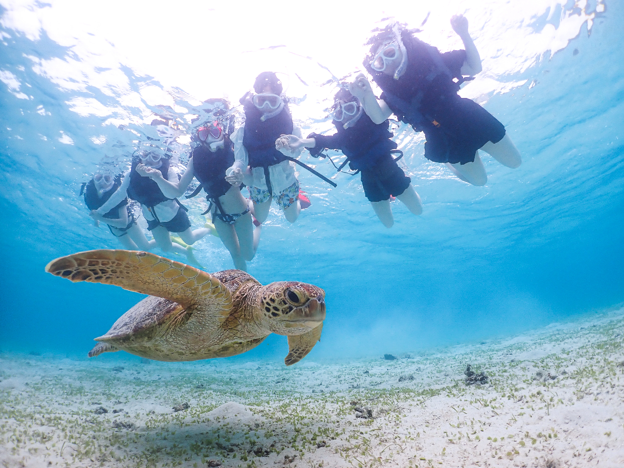 みんなで楽しむ最高の瞬間!