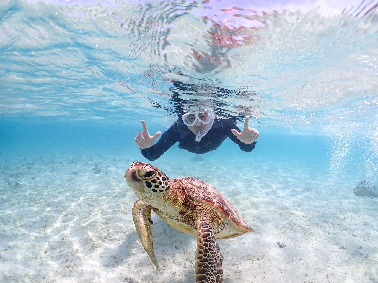 大切な人と、特別な海へ。
