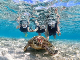 ウミガメと一緒に泳ぐ特別な体験、宮古島旅行で人気のウミガメシュノーケルツアー