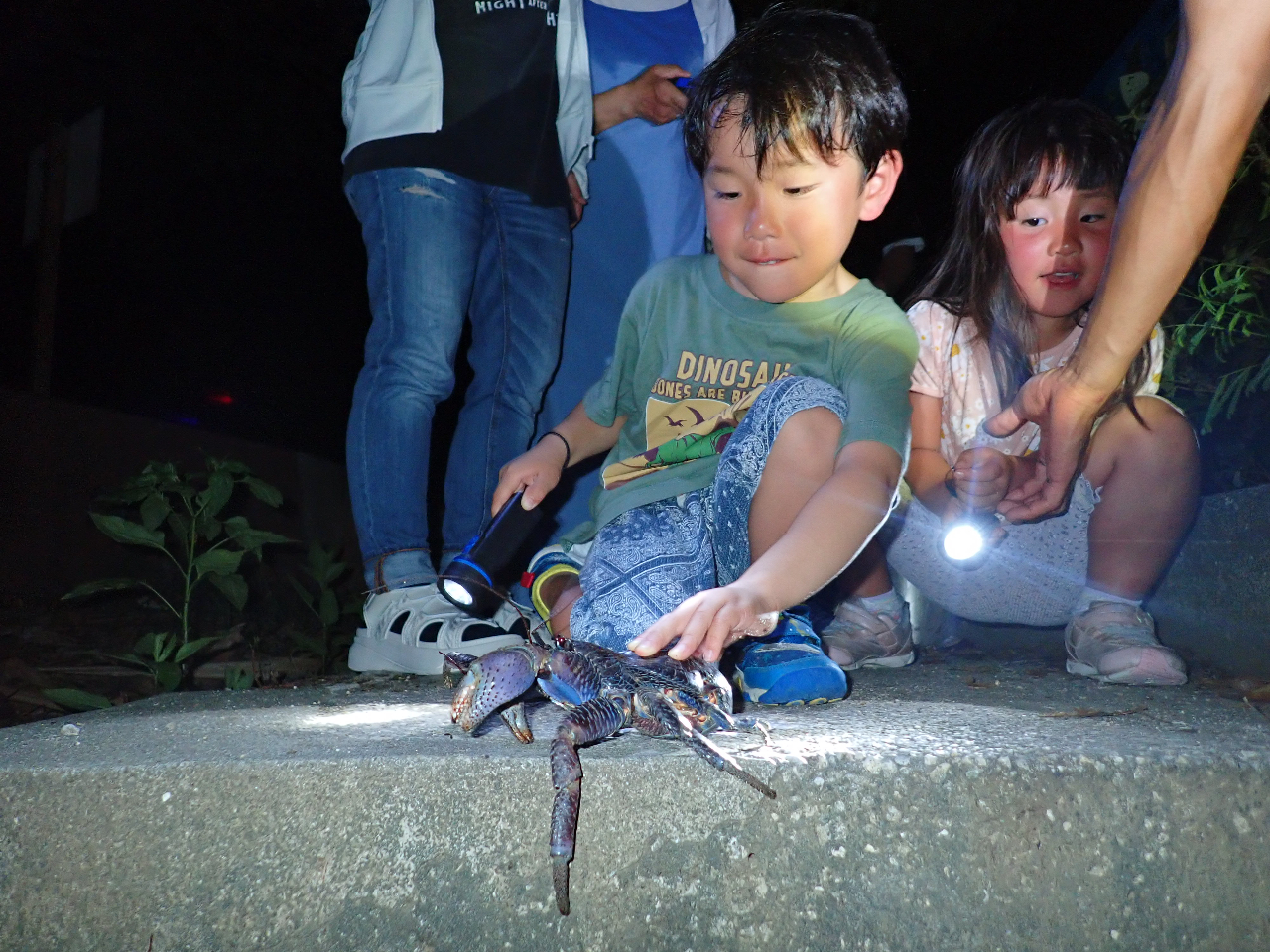 ヤシガニハンター