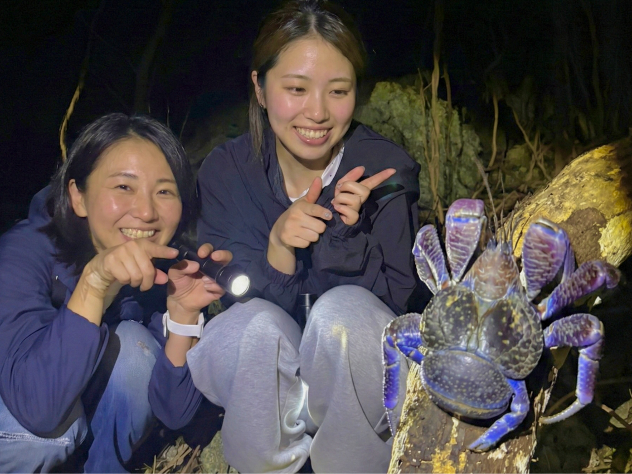 宮古島｜夜】☆破格ナイトツアー☆アマゾン帰りの男がご案内【当日予約