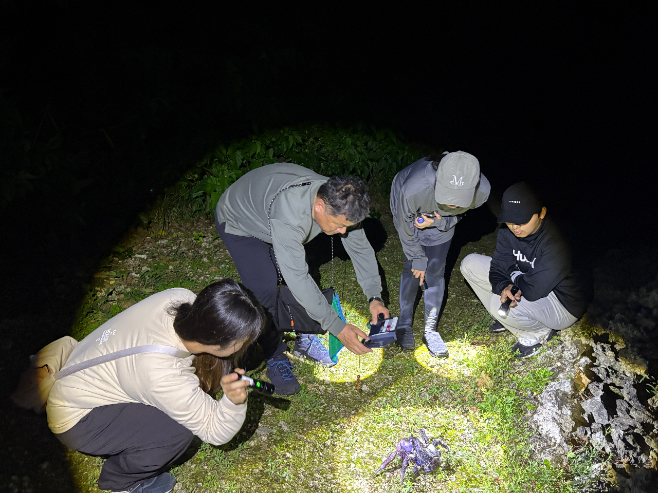宮古島｜夜】☆破格ナイトツアー☆アマゾン帰りの男がご案内【当日予約