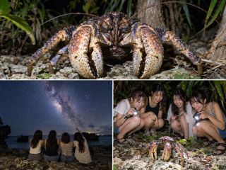 宮古島の夜を詰めこんだナイトツアー