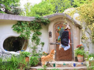 ワンコを置いてお出かけ。