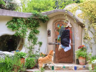 お出かけ魔法使いと一緒に行きたいワンコ