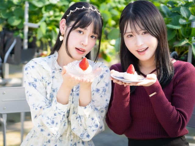 自分で摘んだいちごで、いちご大福を作る事もできますよ!