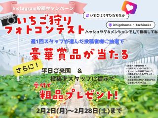 2月フォトコンテスト開催中!平日の粗品はストーリーズOK!非公開アカウントOK!