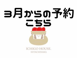 2024年1月OPEN!今作3シーズン目STARTです!