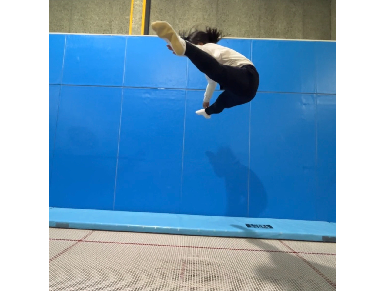�g�����|�����t�B�[���hwing�̎ʐ^3