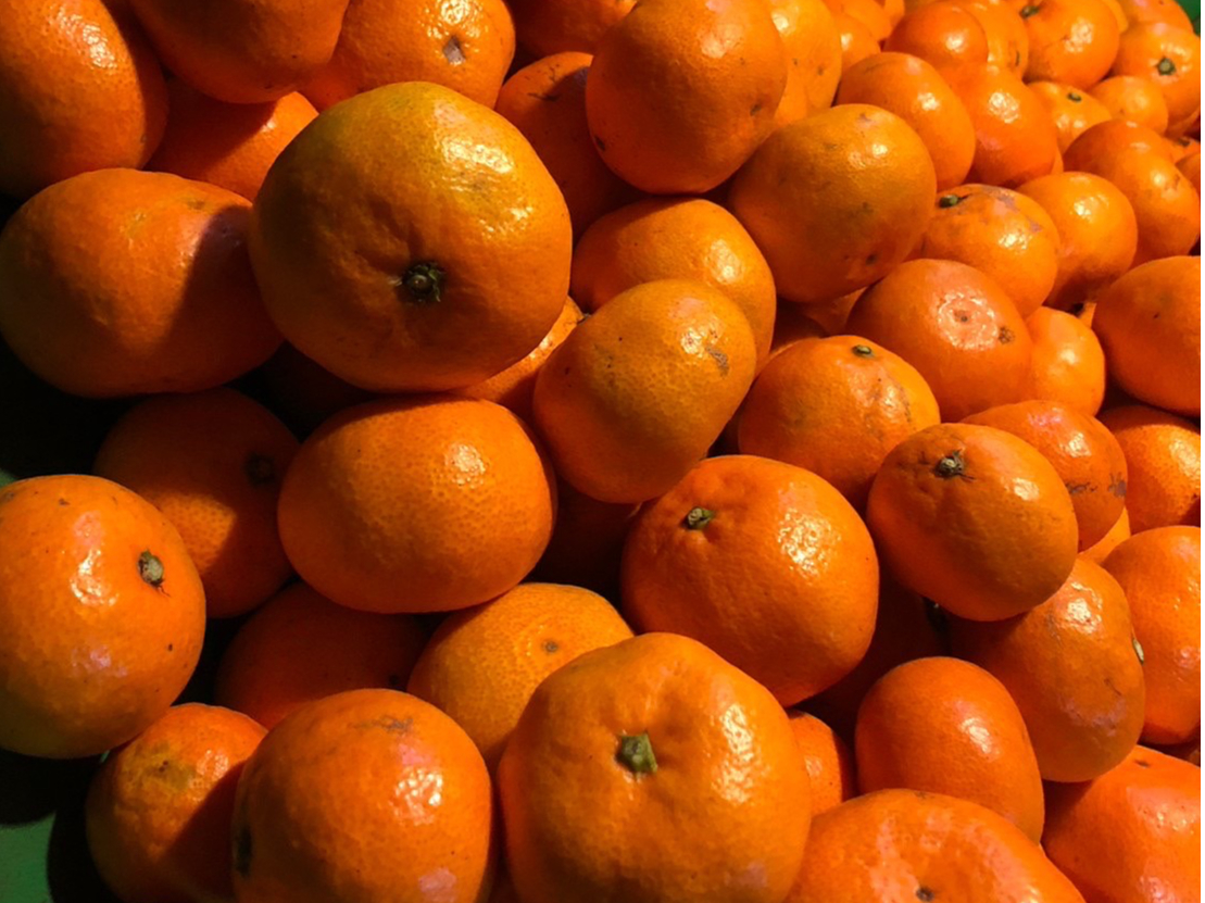 甘みと酸味のバランスのよく、味がとても濃いみかんです!