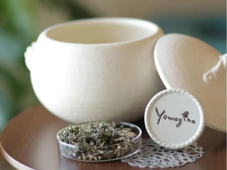 MϏoSȌޗŐg킸ɗグĂ܂