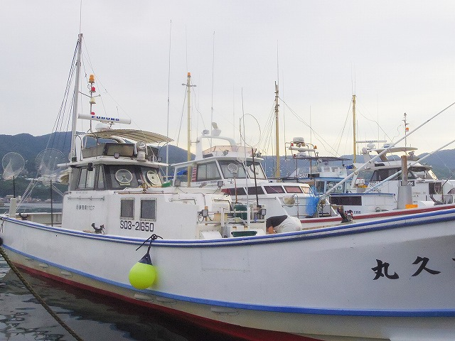 【中古】 宇佐美魚目/花神社/宇佐美魚目 楽天市場】宇佐美 魚目の通販