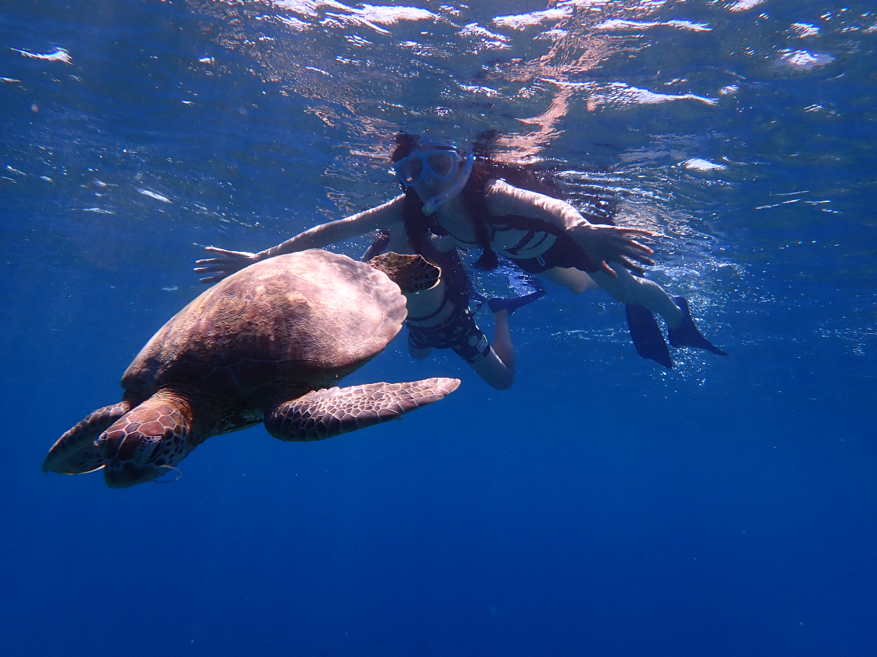 CTƉjIIÂɋ߂ÂΊԋ߂Ō鎖II