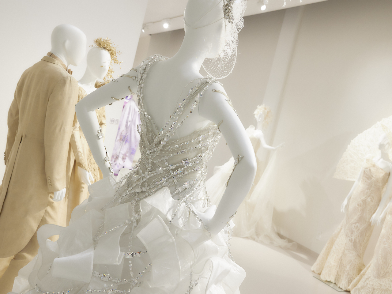 2KGAł͌jR̃hXԋ߂ł܂I(L)