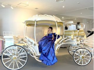 誰もが一度は憧れる馬車でお撮りいただけます☆(別途追加料金)