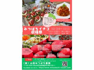 みつばちいちご収穫祭 ハニーストロベリービュッフェ!