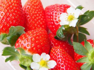 山田みつばち農園の真っ赤でジューシーないちごを是非ご賞味ください♪