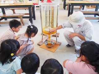 遠心分離機から搾りたてのはちみつを出しています。