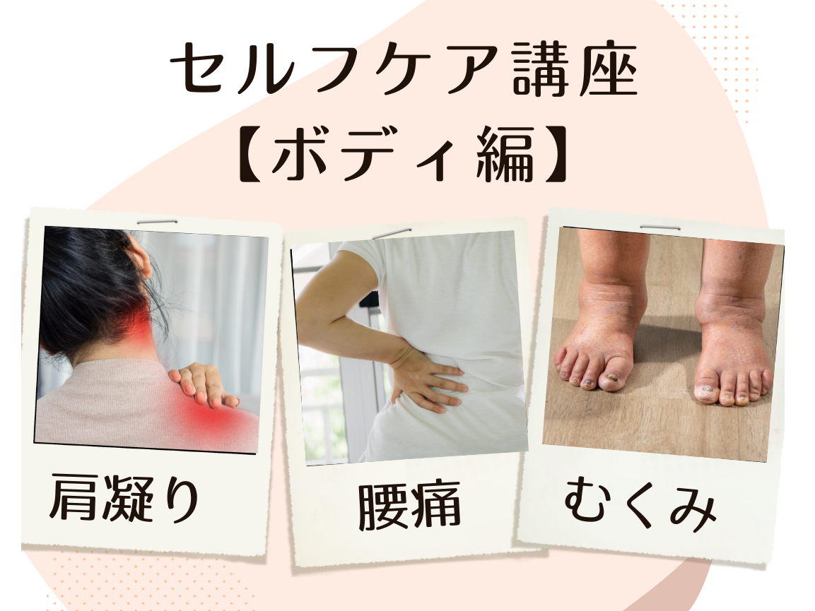 ؓɂ߂ČoAoAo̘c݂𐮂Ap̉tz̂ɓPAwׂu