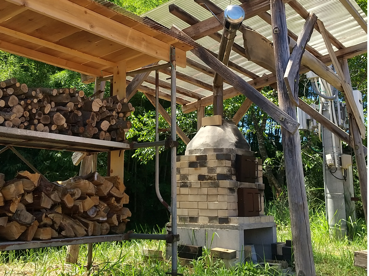 |؂߂̍LɂΗqŃAEghANbLÕX^[głI