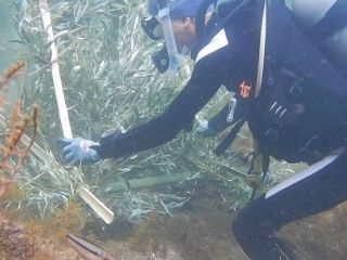 竹で作った漁礁は近くの越前海岸に沈めて魚などの棲み家として活用します。どんな魚がいるかスノーケリングで観察しよう!!