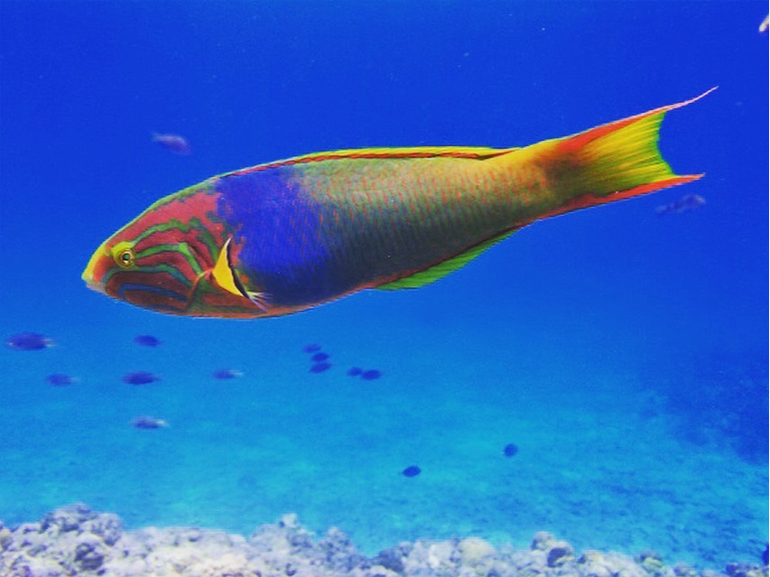 どんな生き物に会えるかな?